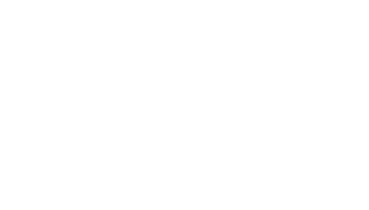 Hadi & Shinta Wedding